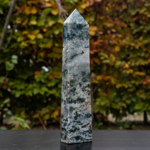 mosagaat toren