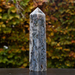 mosagaat toren