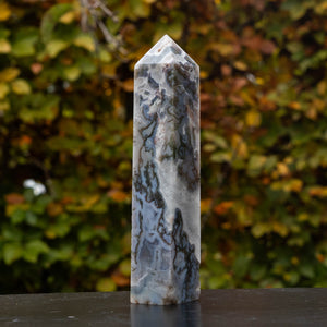 mosagaat toren