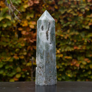 mosagaat toren