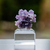 druifagaat grape agate