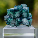 fluoriet weardale pocket42 