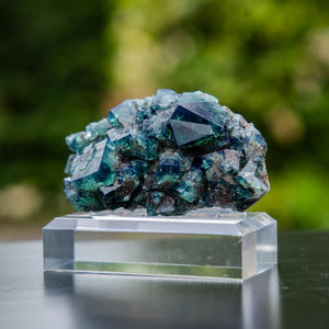 fluorite dianamaria pocket42