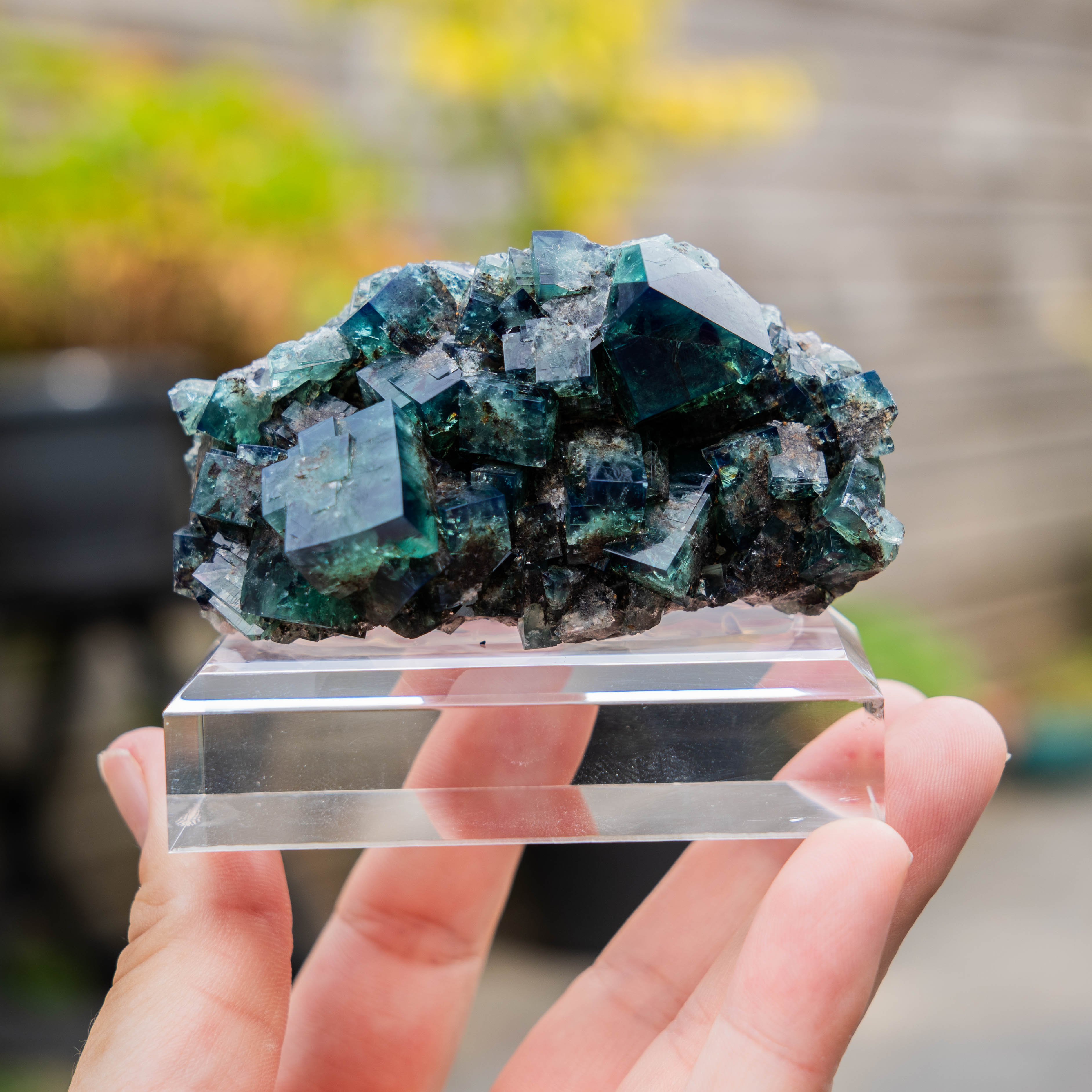 fluorite dianamaria pocket42