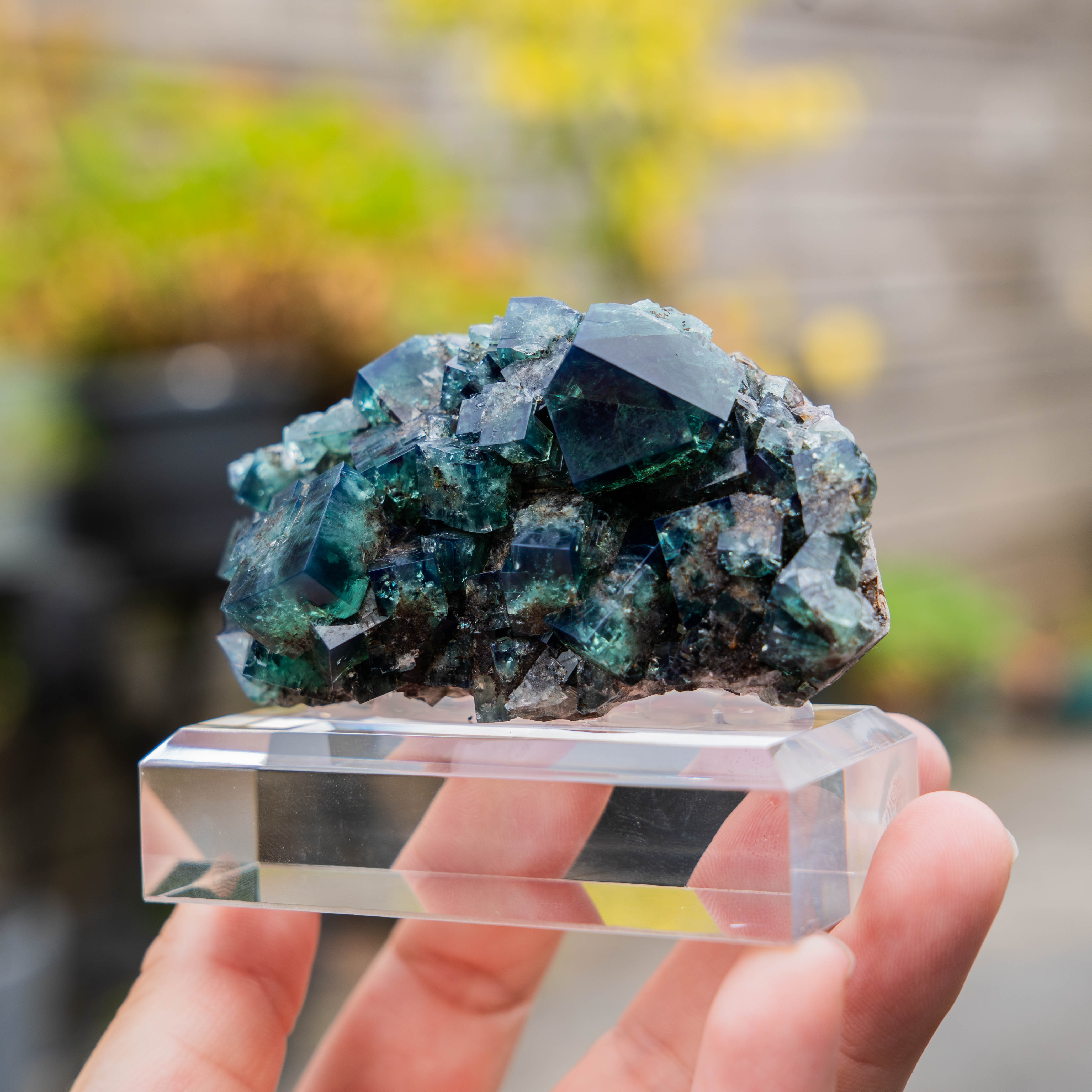 fluorite dianamaria pocket42