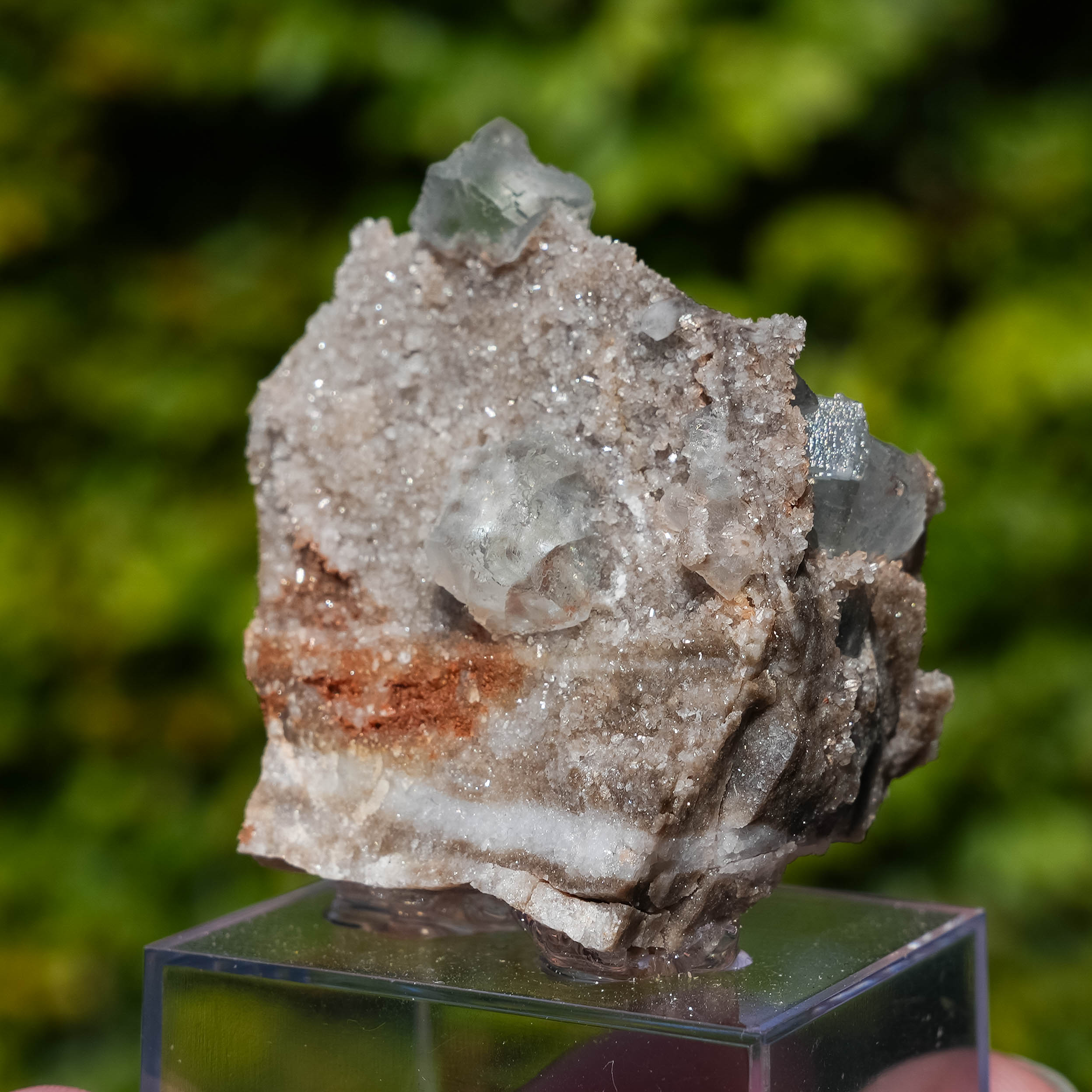fluoriet collada spanje