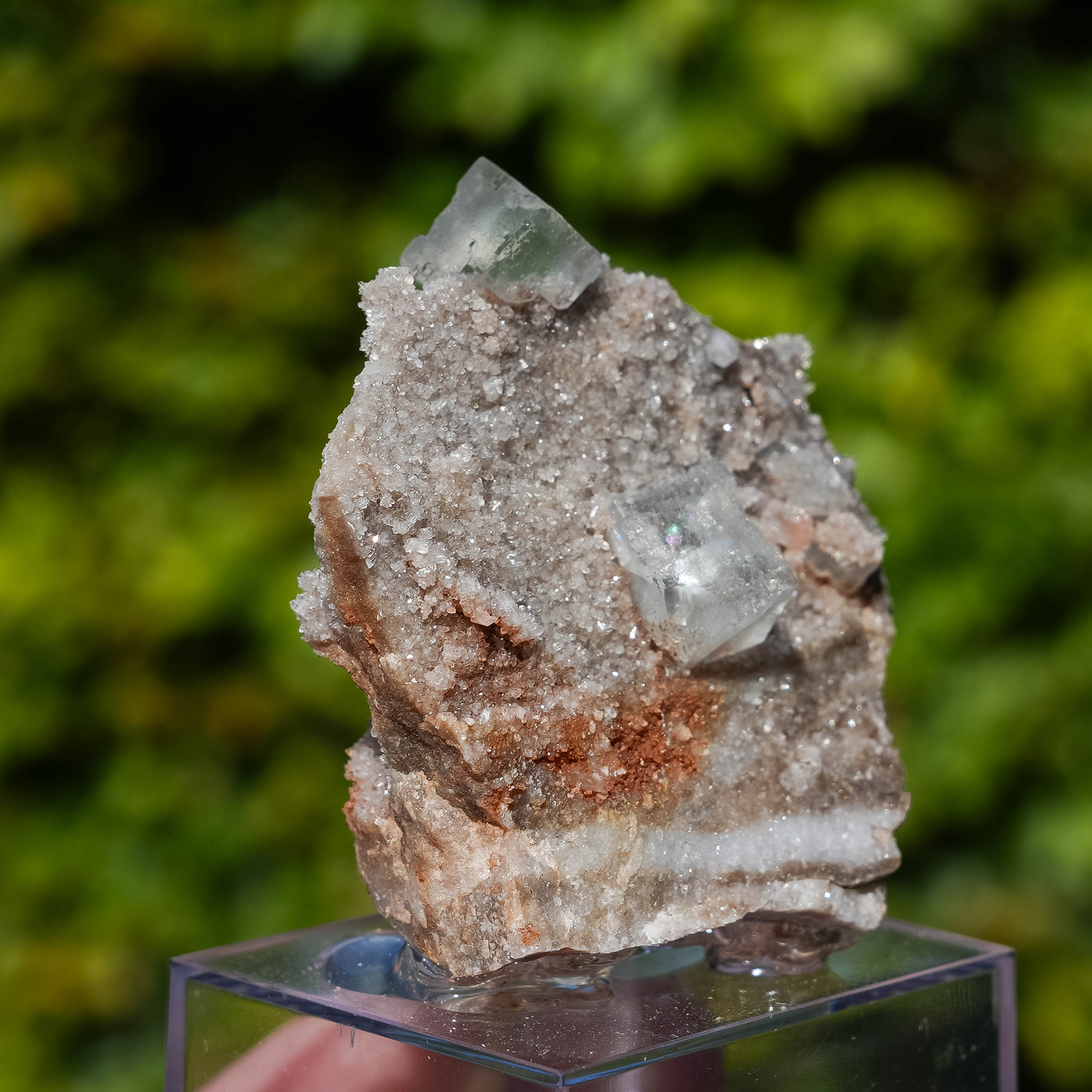 fluoriet collada spanje