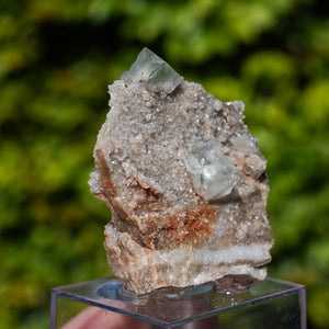 fluoriet collada spanje
