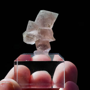 pink fluorite octahedral