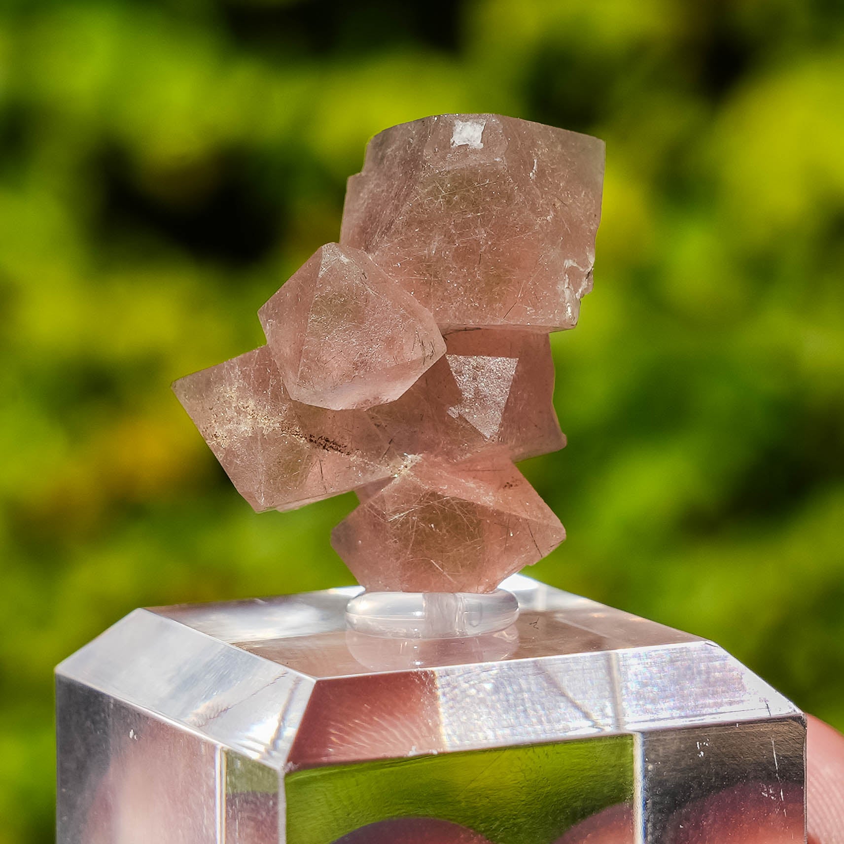 pink fluorite octahedral