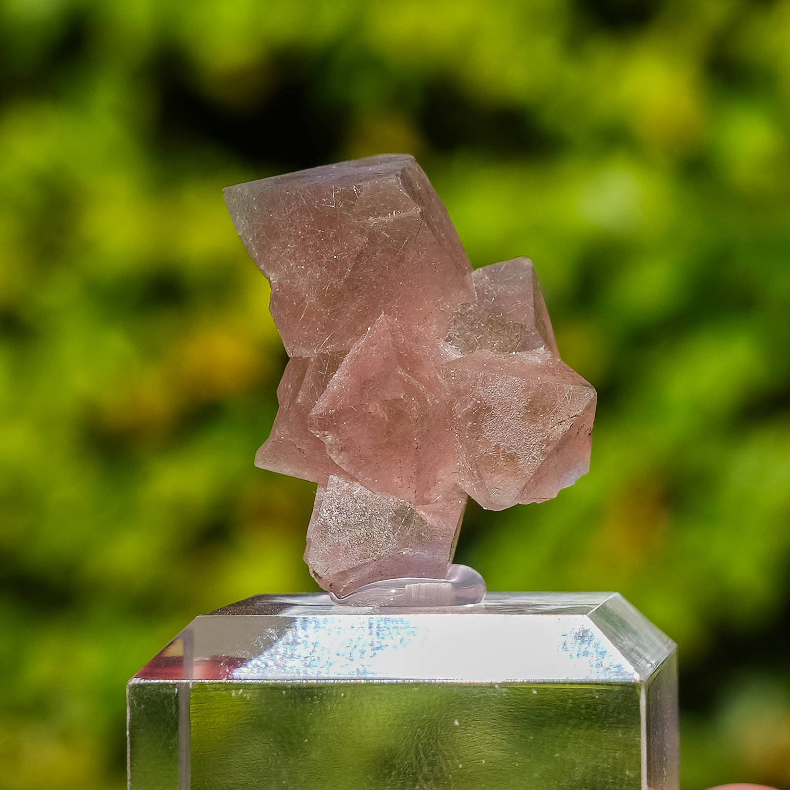 pink fluorite octahedral