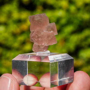 pink fluorite octahedral