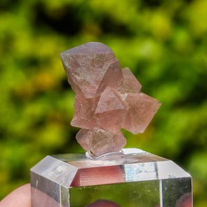 pink fluorite octahedral