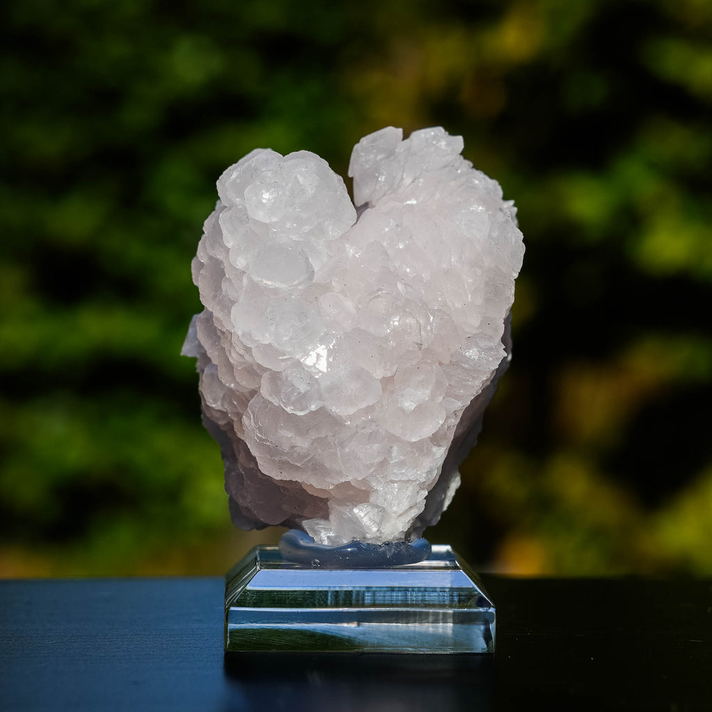 mangano calciet bulgarije