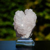 mangano calciet bulgarije