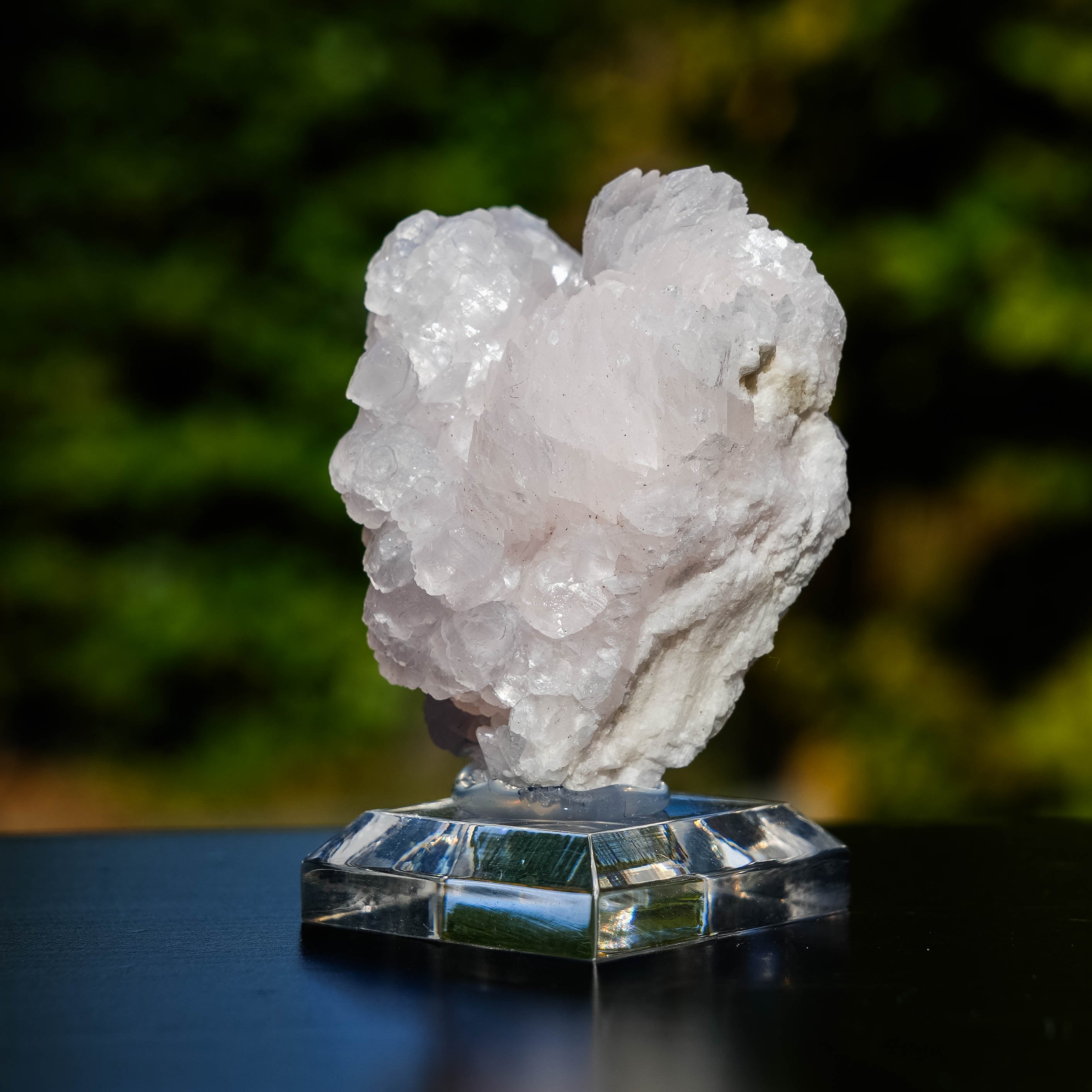 mangano calciet bulgarije