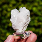 mangano calciet bulgarije