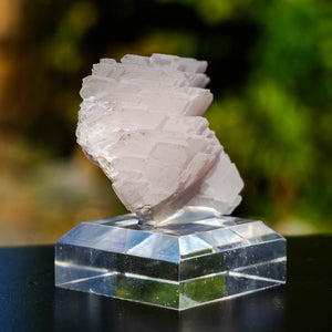 mangano calciet bulgarije