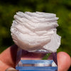 mangano calciet bulgarije