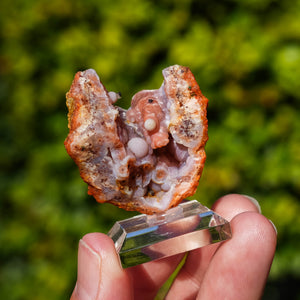 chalcedoon hematiet geode