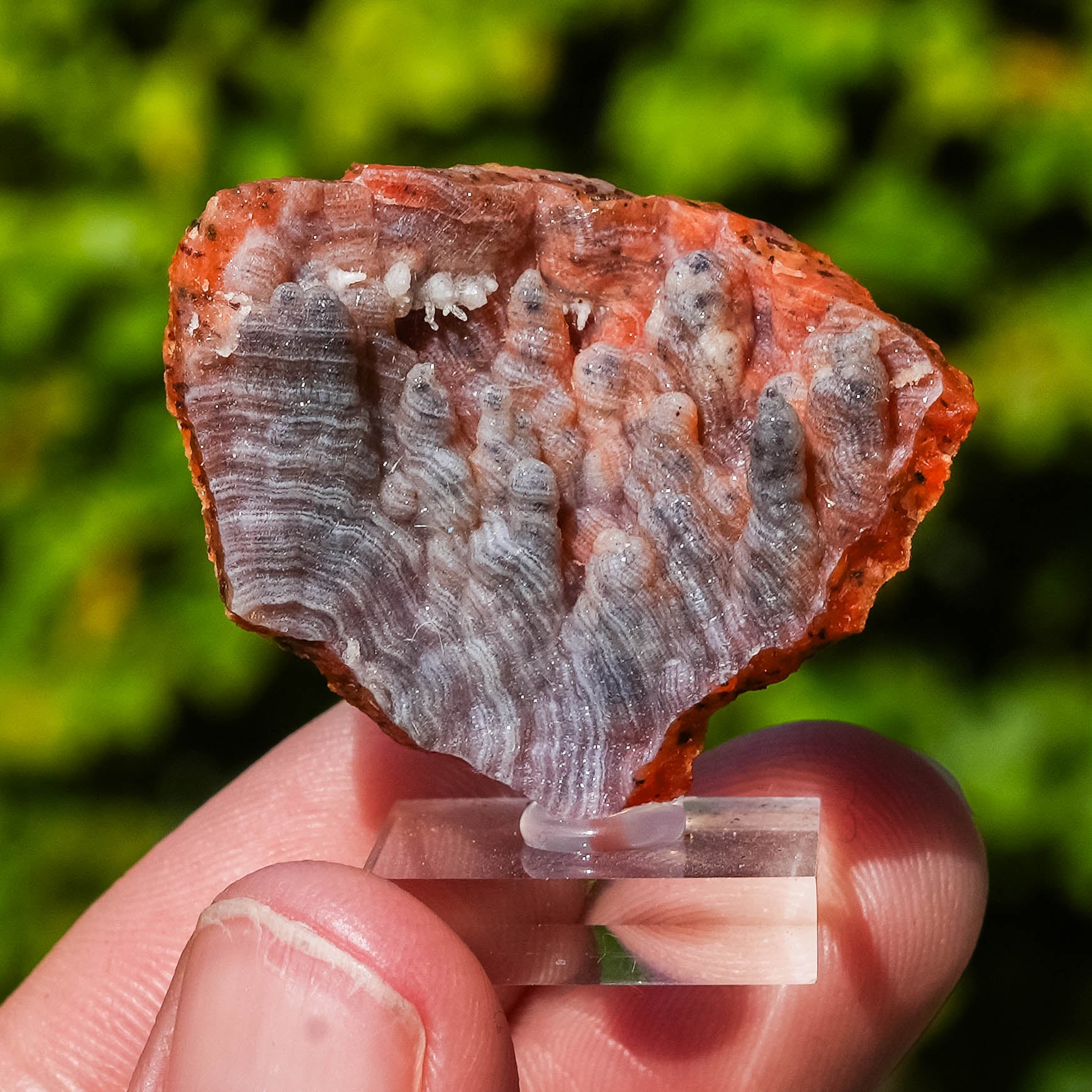 chalcedoon hematiet geode