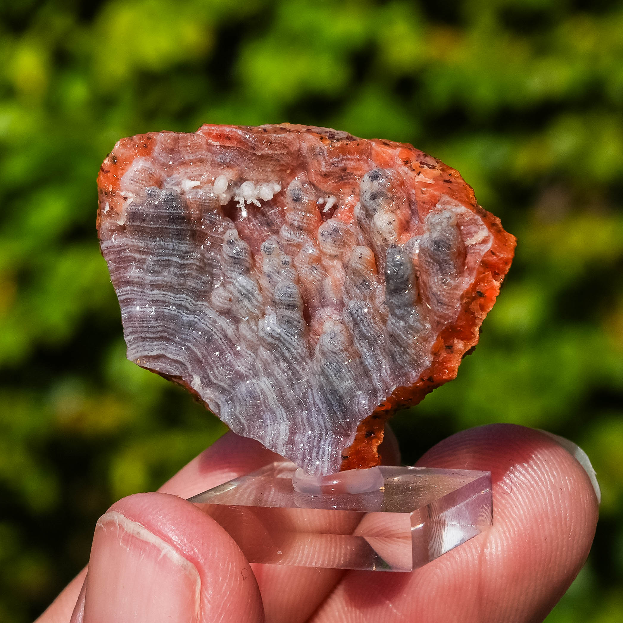 chalcedoon hematiet geode