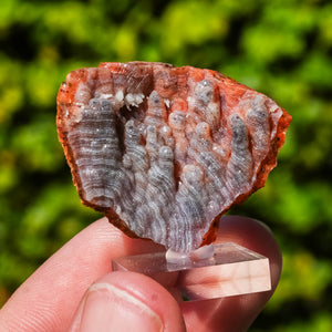 chalcedoon hematiet geode