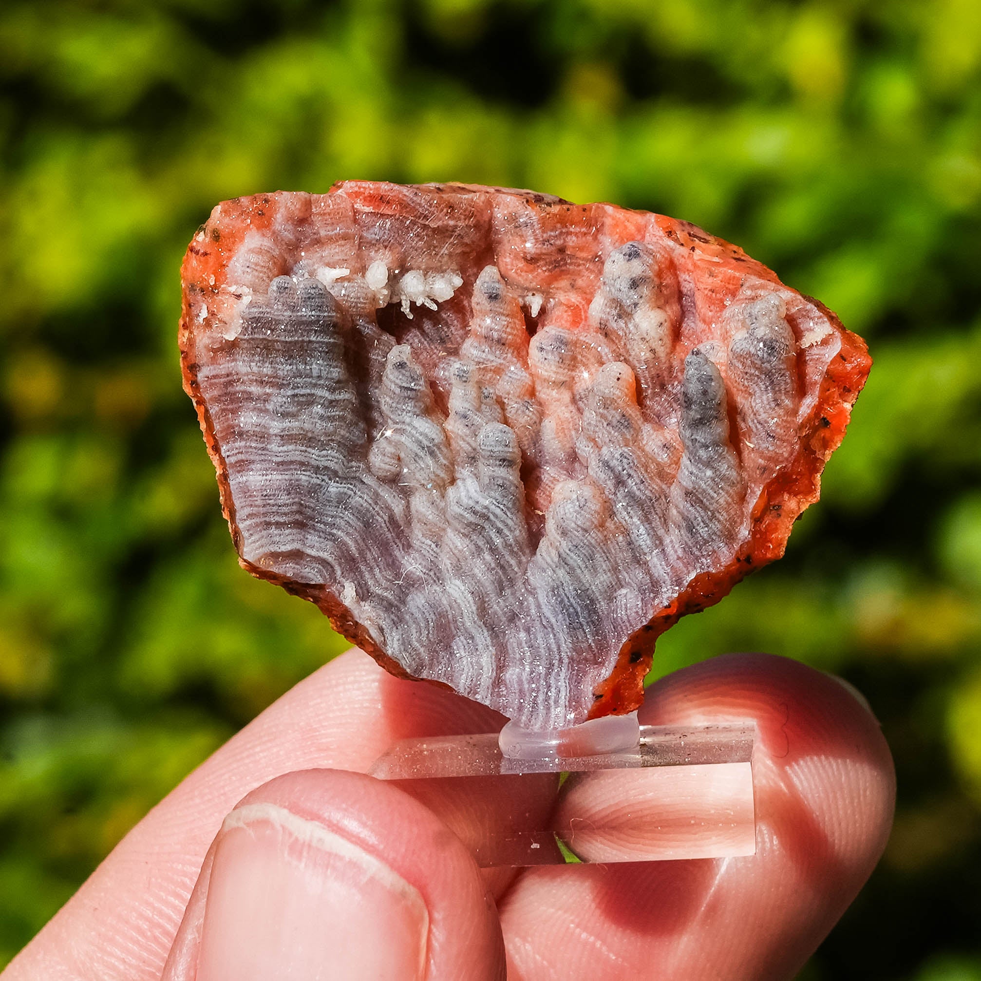 chalcedoon hematiet geode