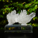 Kwarts cluster #1