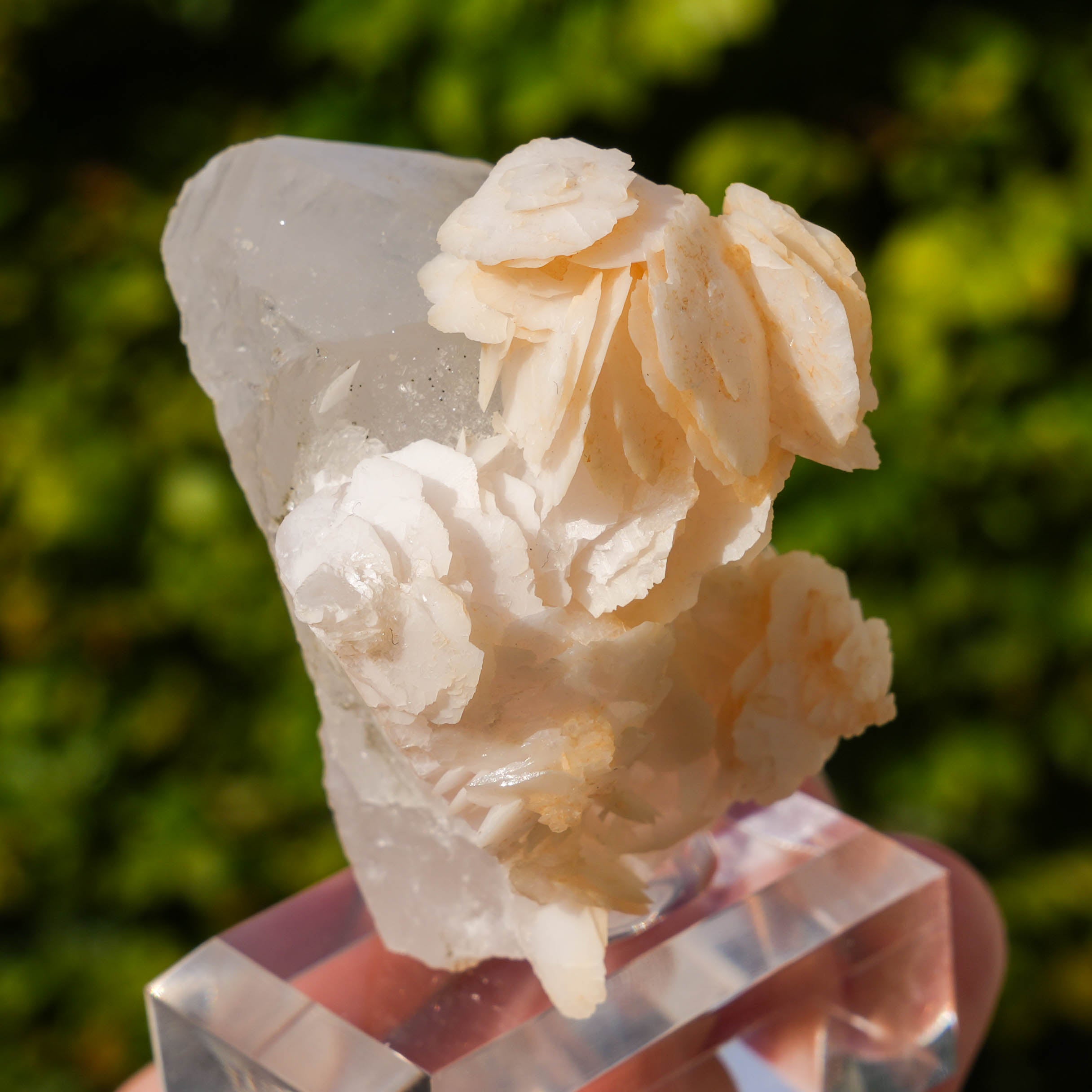 calciet kwarts yaogangxian 
