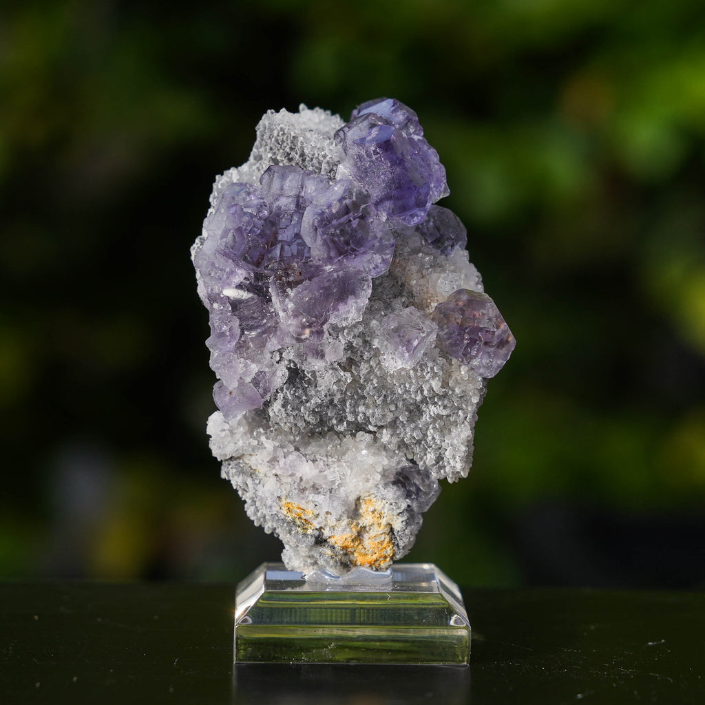Tanzaniet Fluoriet #2