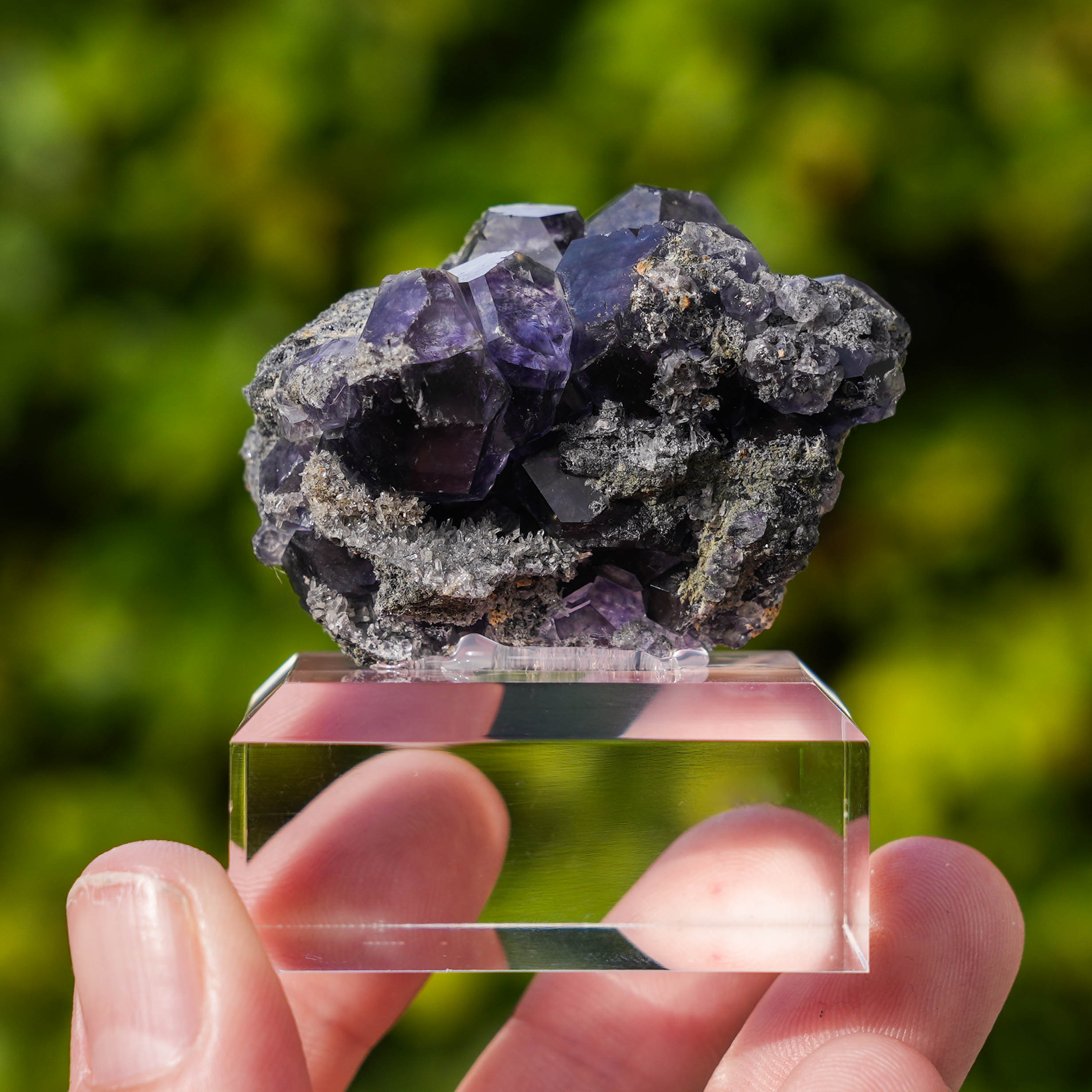 tanzanite fluorite china