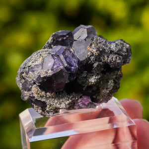 tanzanite fluorite china