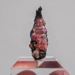 rhodochrosiet potosi mexico