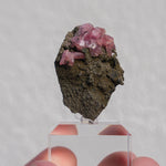 rhodochrosiet potosi mexico