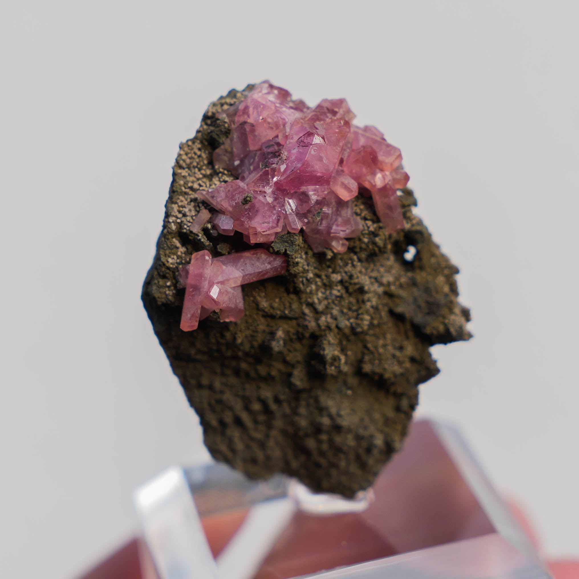 rhodochrosiet potosi mexico