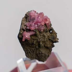rhodochrosiet potosi mexico