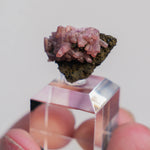 rhodochrosiet potosi mexico