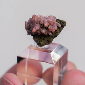 rhodochrosiet potosi mexico