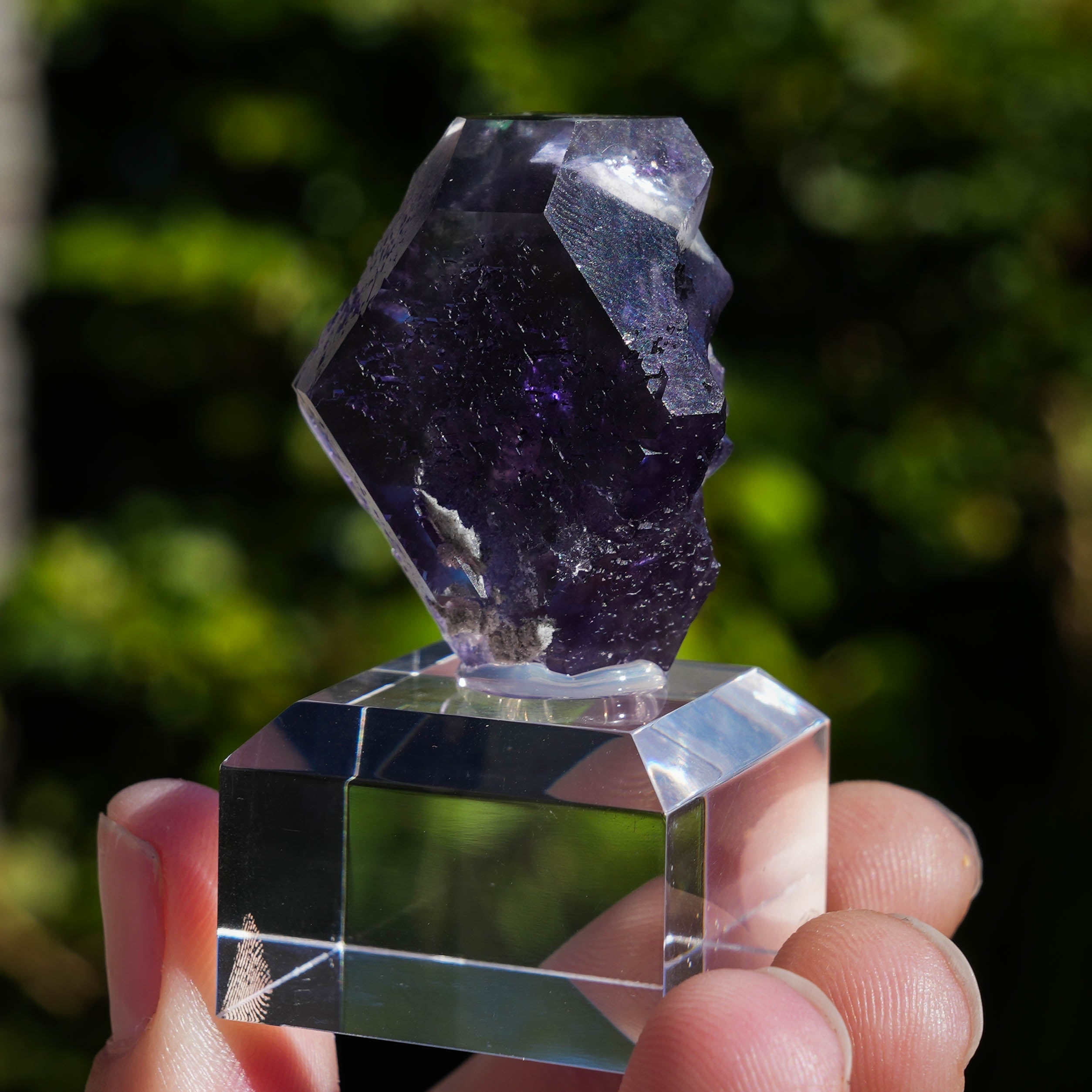 tanzanite fluorite fujian china