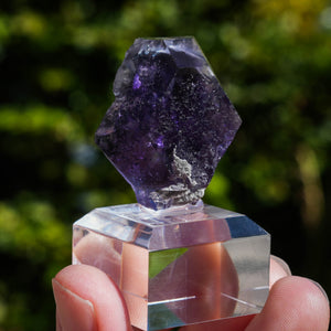 tanzanite fluorite fujian china