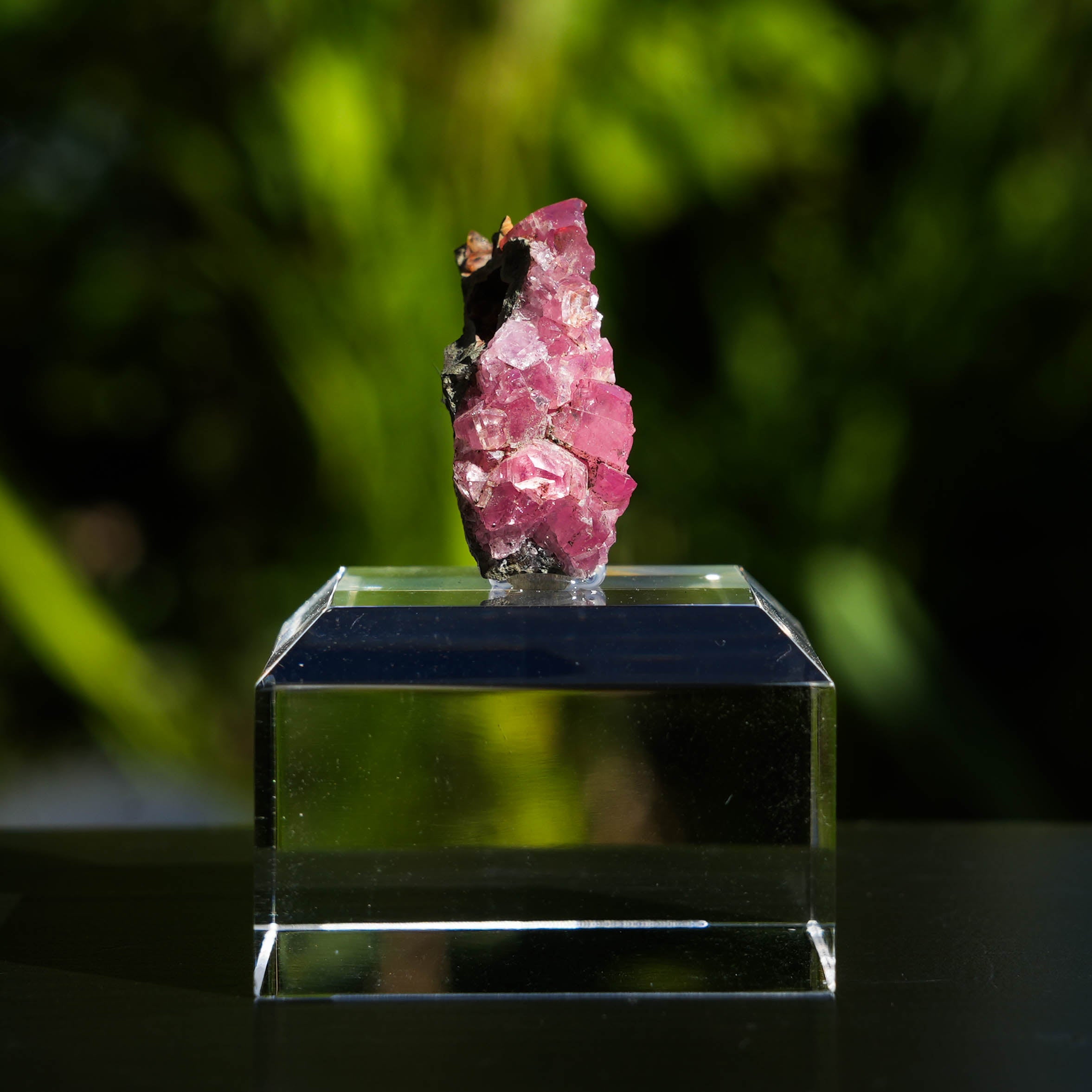 rhodochrosiet potosi mexico