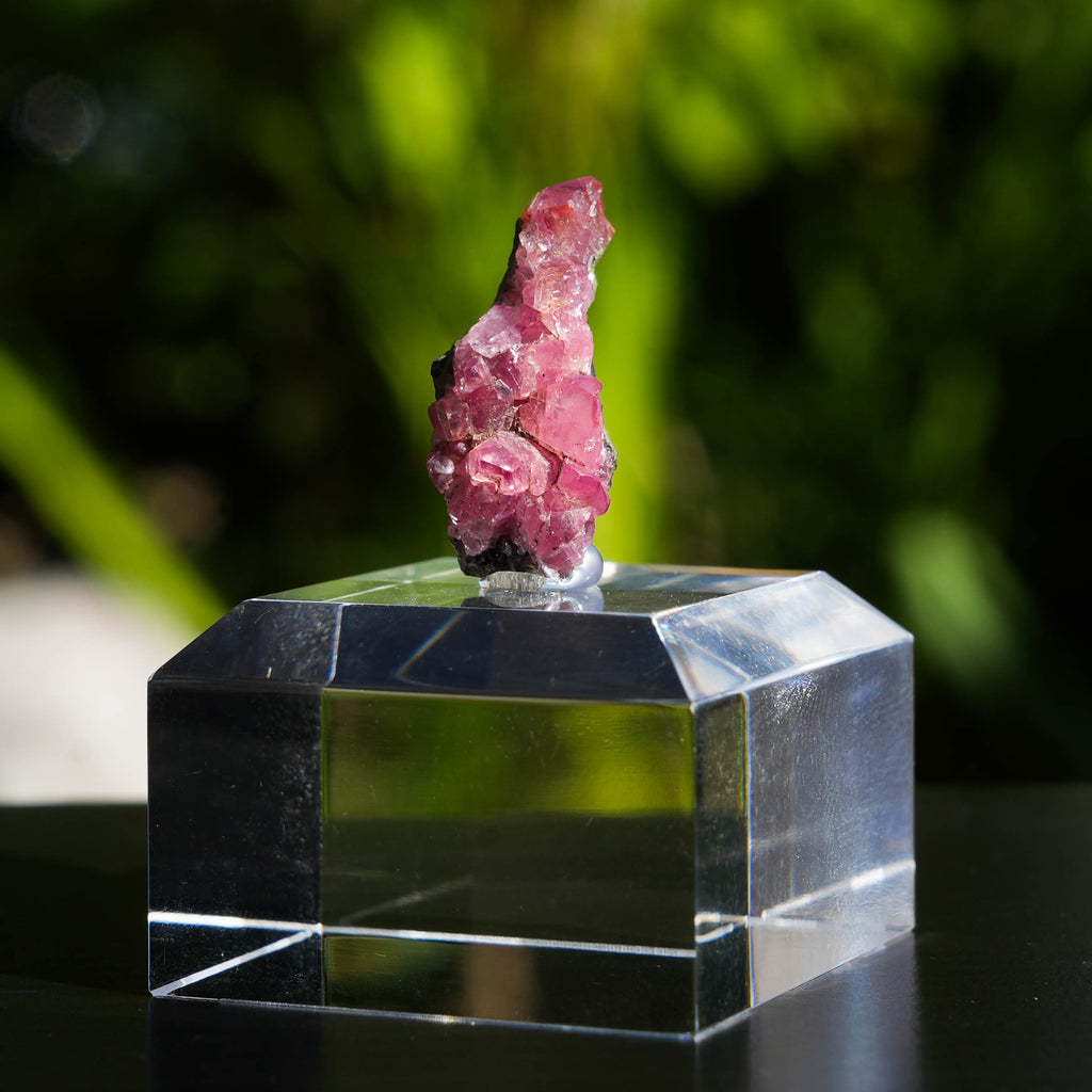 rhodochrosiet potosi mexico