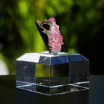 rhodochrosiet potosi mexico