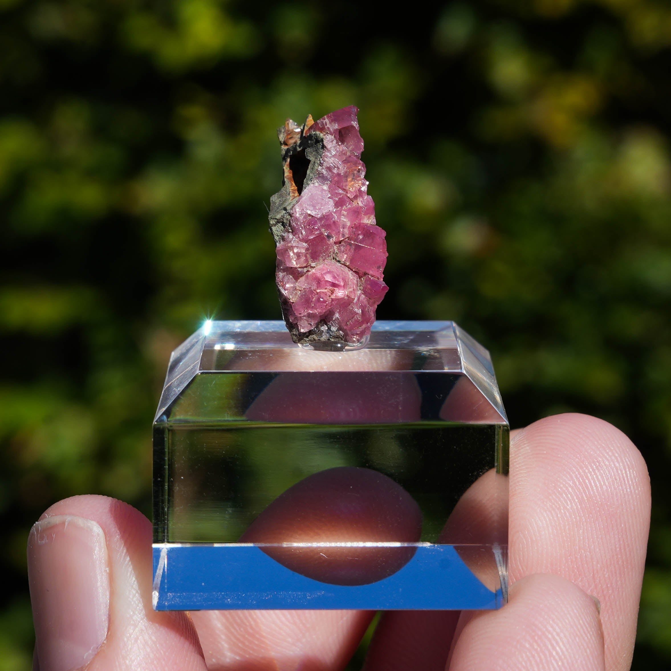 rhodochrosiet potosi mexico