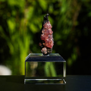 rhodochrosiet potosi mexico