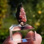 rhodochrosiet potosi mexico