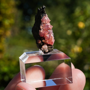 rhodochrosiet potosi mexico