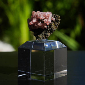 rhodochrosiet potosi mexico