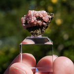 rhodochrosiet potosi mexico